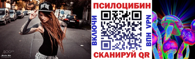 купить   Ядрин  Псилоцибиновые грибы Psilocybine cubensis 