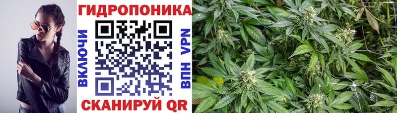 Бошки Шишки Bruce Banner  Ядрин 